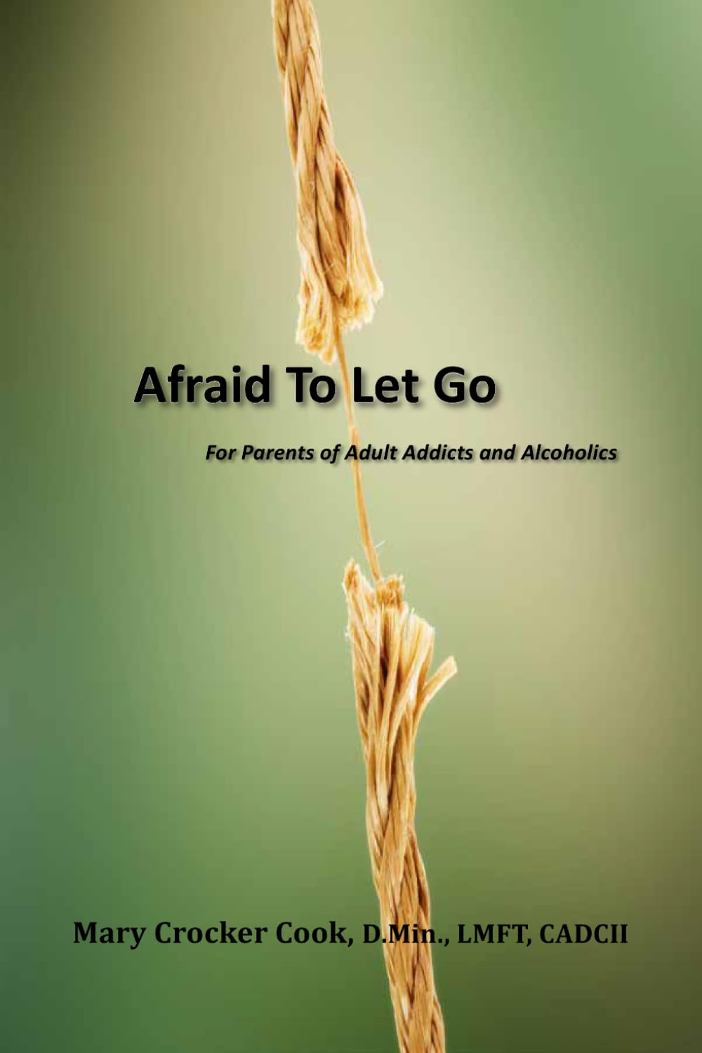 ler totalmente Afraid To Let Go: For Parents of Adult Addicts and Alcoholics