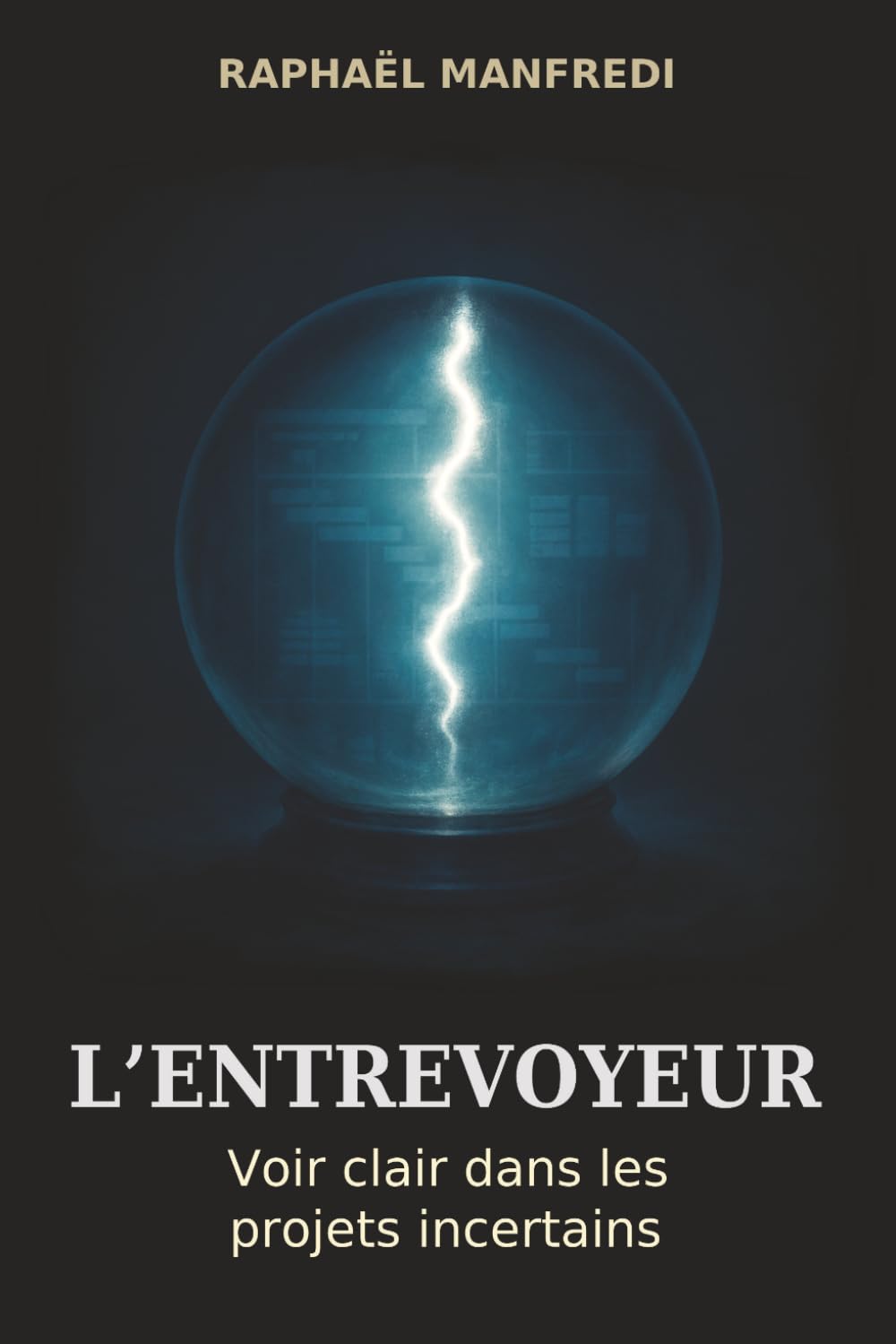 ler totalmente L'Entrevoyeur: Voir clair dans les projets incertains (French Edition)
