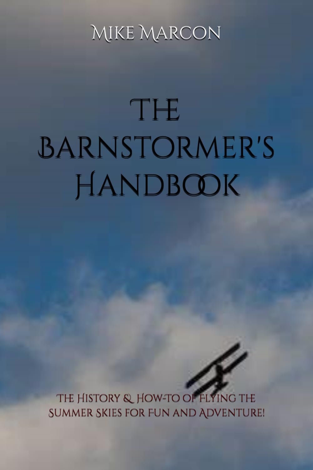 ler totalmente The Barnstormer's Handbook: The History & How-To of Flying the Summer Skies for Fun and Adventure!