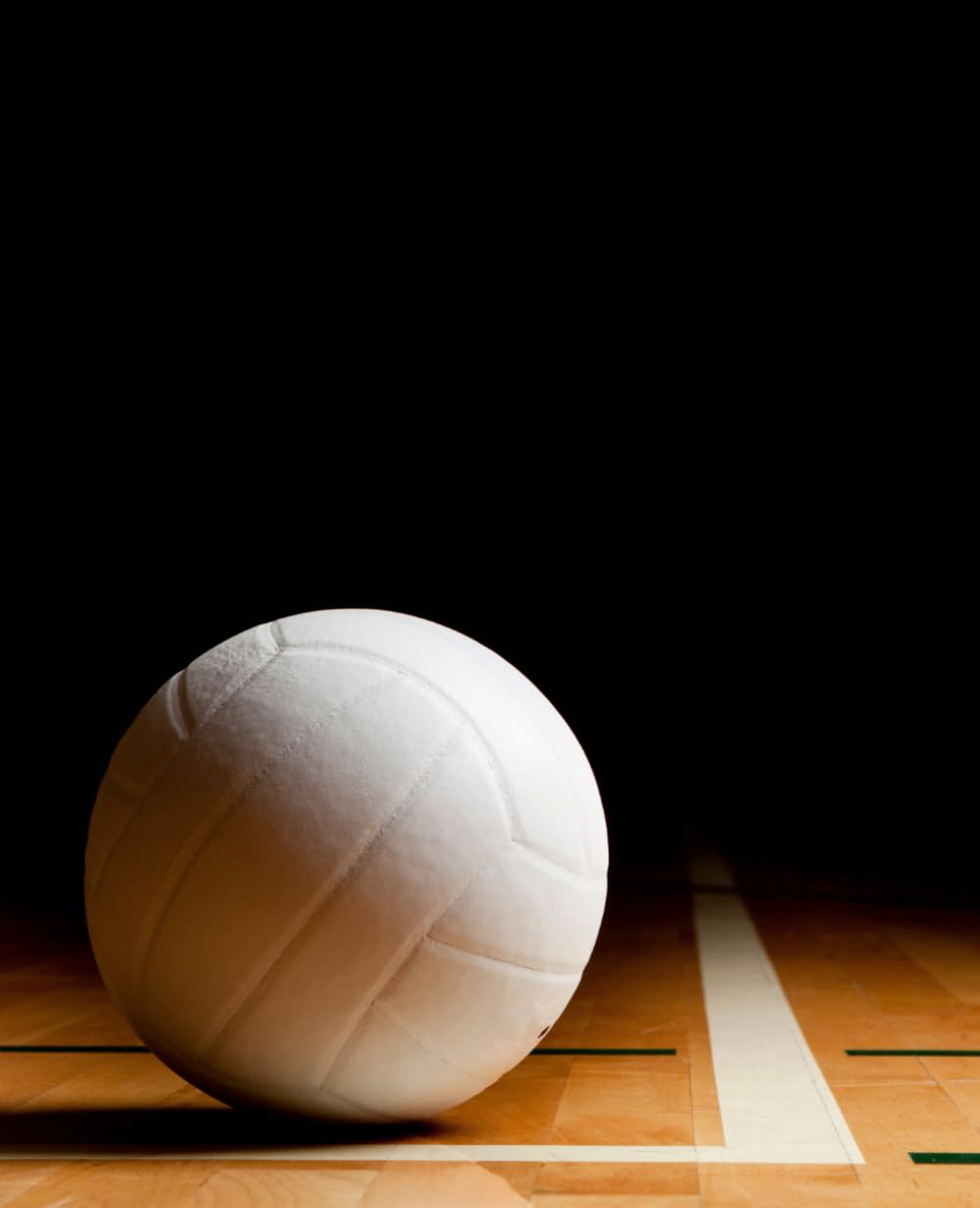 ler totalmente Volleyball on Court Line Composition Book