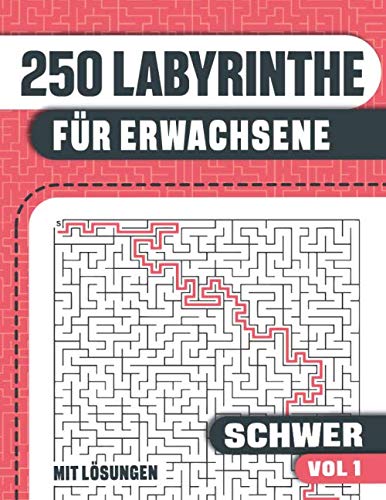 250 Labyrinthe für Erwachsene: Buch mit 250 schwere Labyrinthe für Erwachsene, Jugendliche und Senioren (German Edition) baixar livro de graça