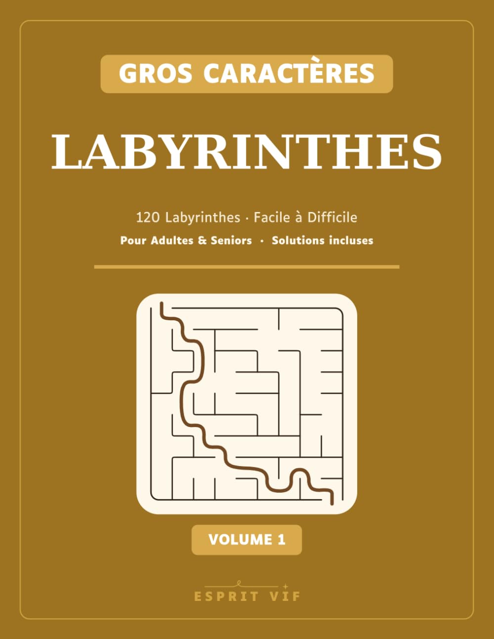 Labyrinthes Gros Caractères: 120 labyrinthes de Facile à Difficile · Grand format pour adultes et seniors · Solutions incluses (Volume 1) (Esprit Vif — Labyrinthes Gros Caractères) (French Edition) baixar livro de graça