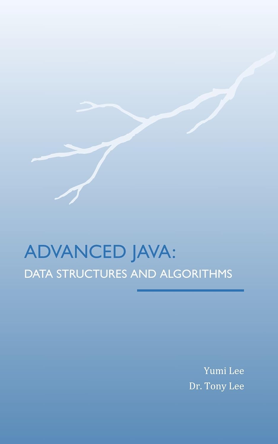 ler totalmente Advanced Java: Data Structures and Algorithms (English Edition)