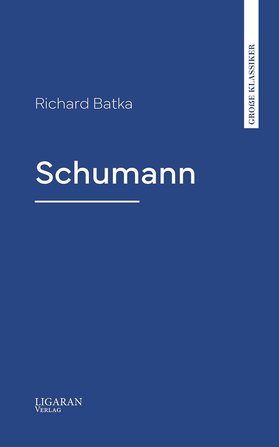 Schumann (German Edition) baixar o livro de graça