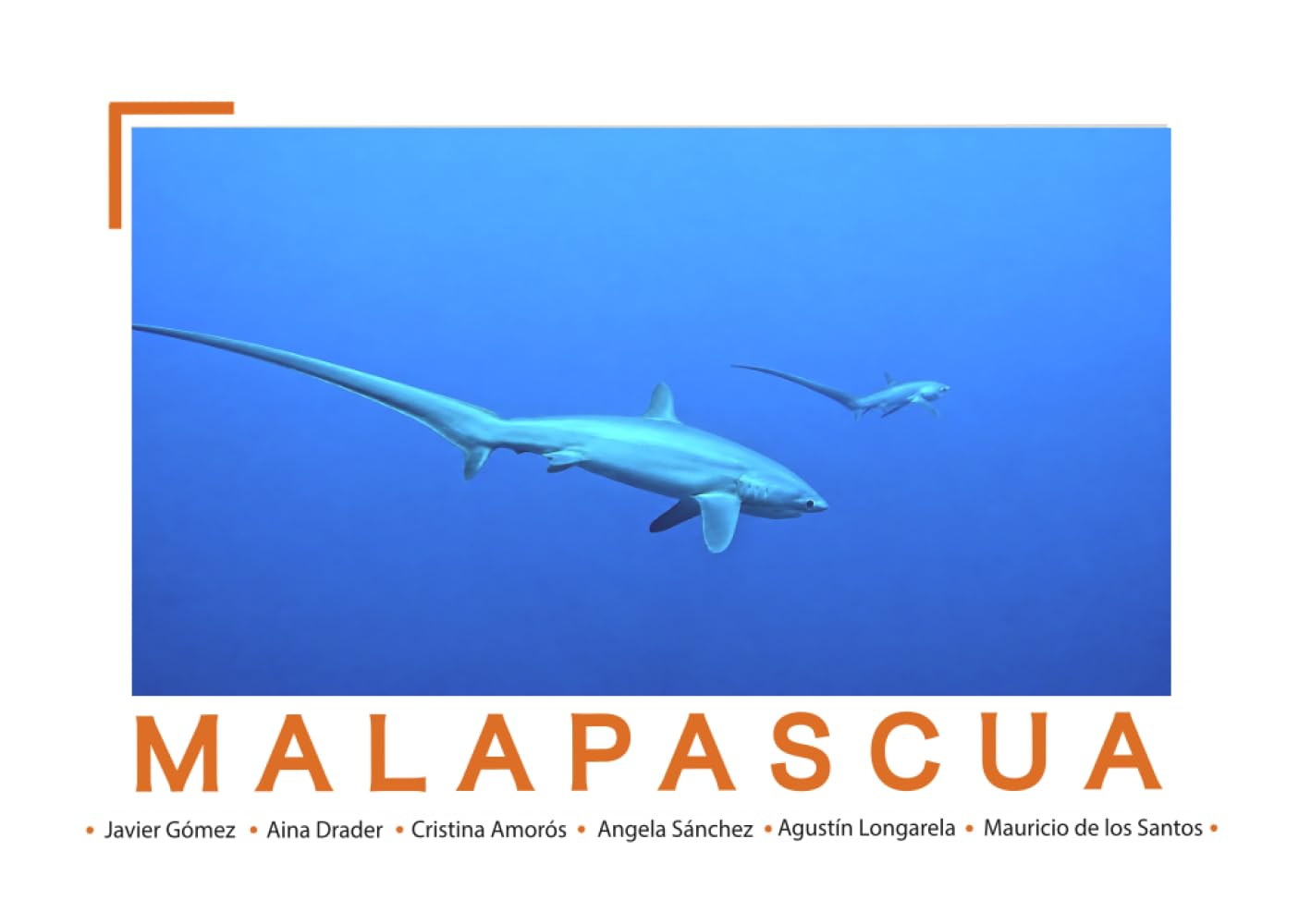 Malapascua: The Mapping Project baixar o livro de graça