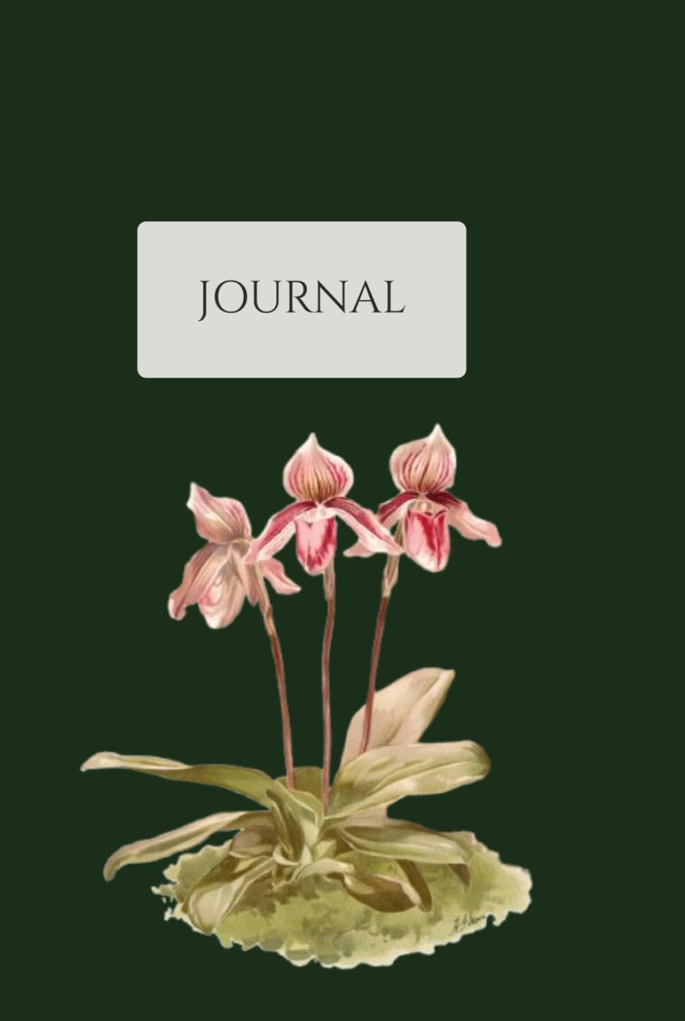 capítulo por capítulo baixar Vintage Botanical Journal: Volume 6 of 12 - Premium Hardcover Combined Lined & Sketch Notebook with Cream Paper, 150 Pages - Antique Victorian Floral Illustration Aesthetic Diary for Writing and Art