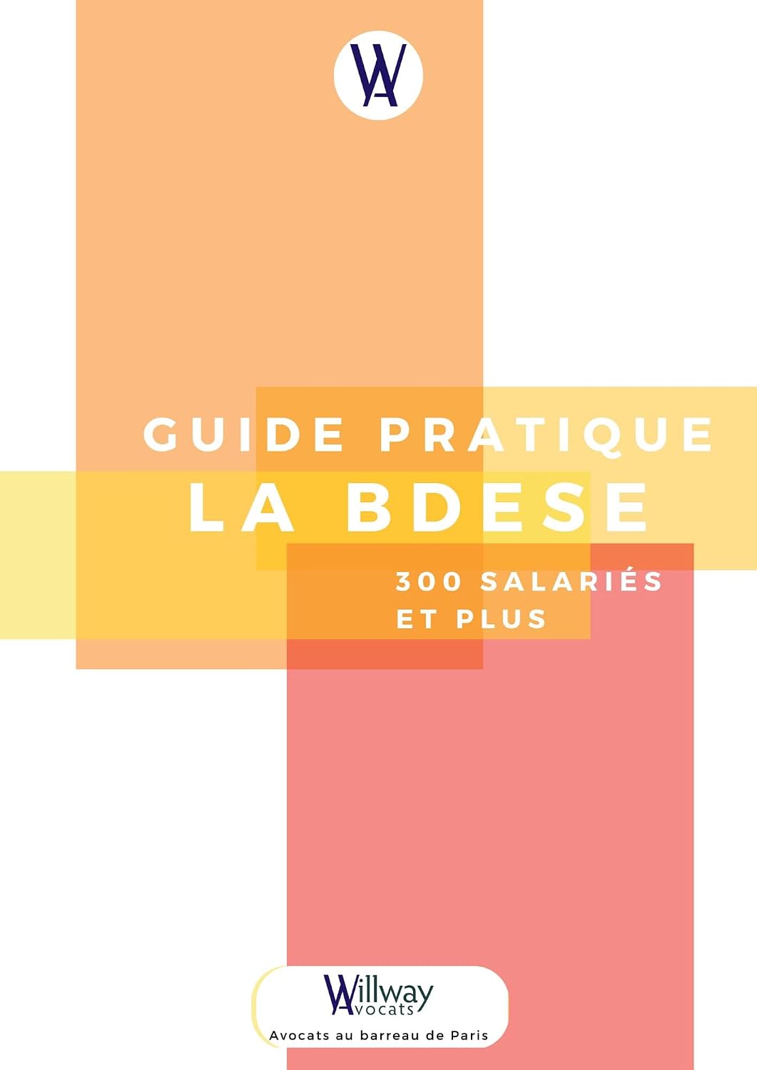 Guide pratique de la BDESE, 300 salariés et plus (French Edition) baixar o livro de graça