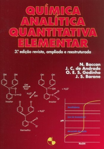 Infoinclusão e as Possibilidades de Ensinar e Aprender baixar livro de graça