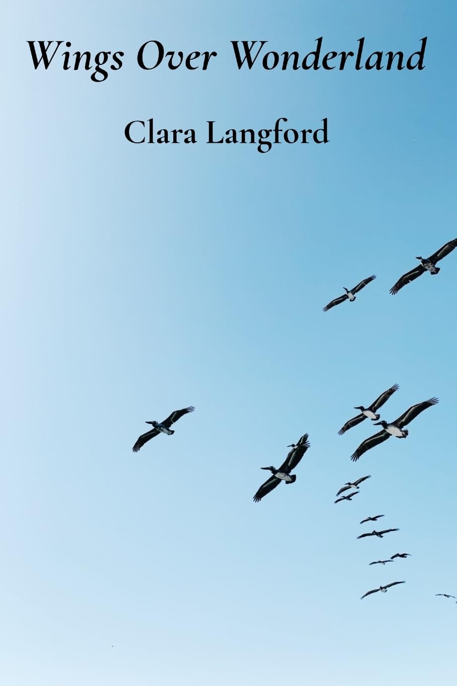 capítulo por capítulo baixar Wings Over Wonderland: A vibrant tribute to birds' flight and migration