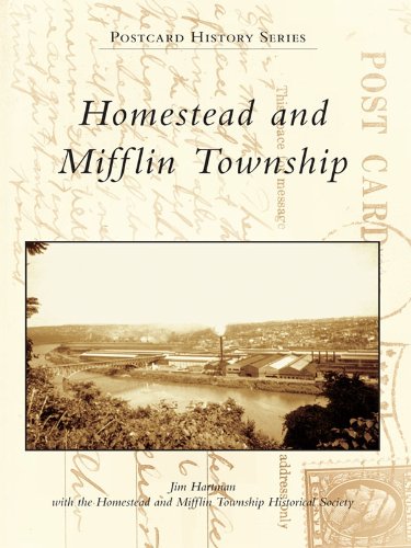 capítulo por capítulo baixar Homestead and Mifflin Township (Postcard History) (English Edition)