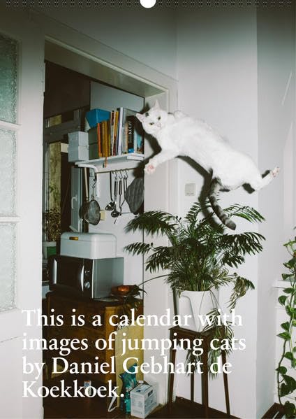 This is a Calendar with Images of Jumping Cats: By Daniel Gebhart de Koekkoek baixar livro de graça