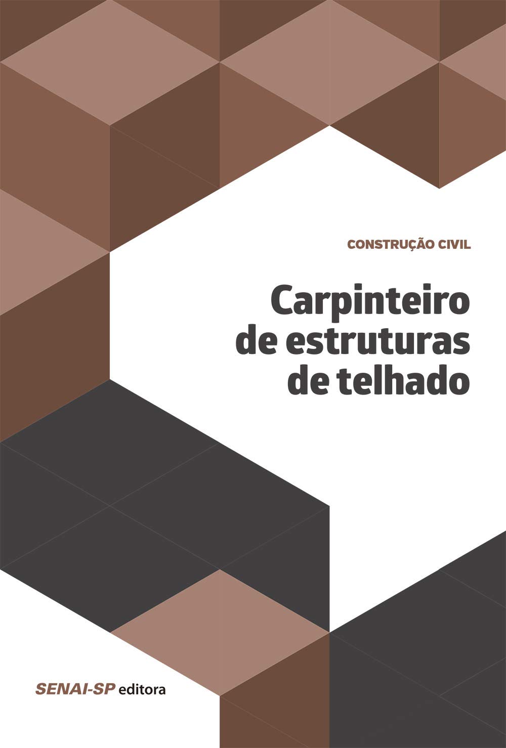 Carpinteiro de Estruturas de Telhado baixar o livro de graça