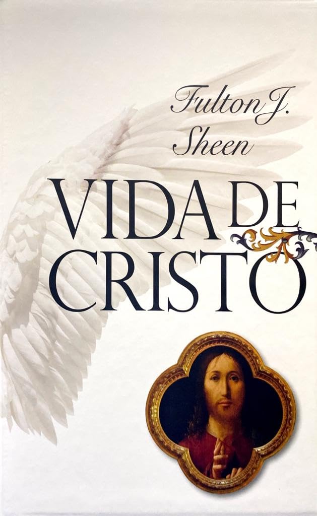 BOX VIDA DE CRISTO baixar o livro de graça