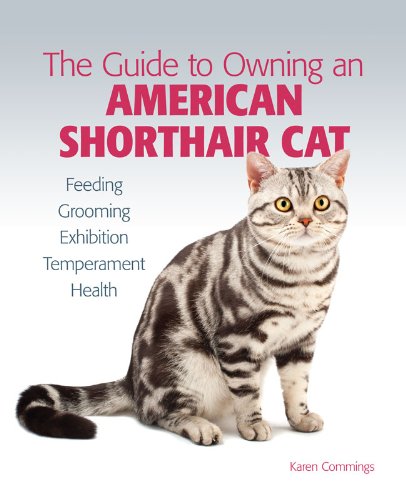 Guide to Owning an American Shorthair Cat (The Guide to Owning) (English Edition) baixar livro de graça