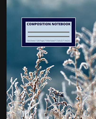 Composition Notebook: Wide Ruled Paper |Blank Lined Workbook For Girls Teens Kids Teachers Students Woman | Nature Blue |200 Pages baixar o livro de graça