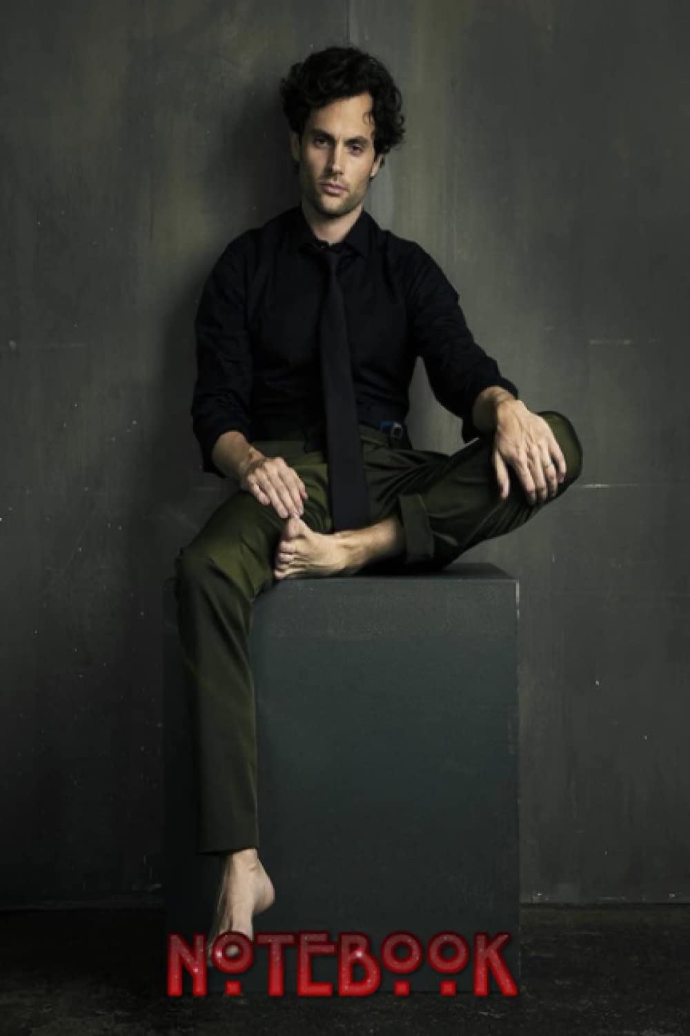Notebook:Penn Badgley-Notebook Writing Books and Journals for Men and Women - Scholl Notebook - Thankgiving Notebook aV287 baixar o livro de graça