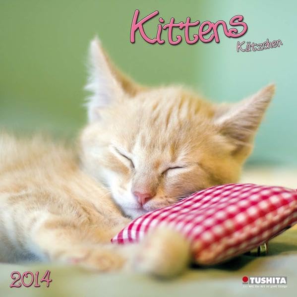 Kittens 2014 baixar livro de graça