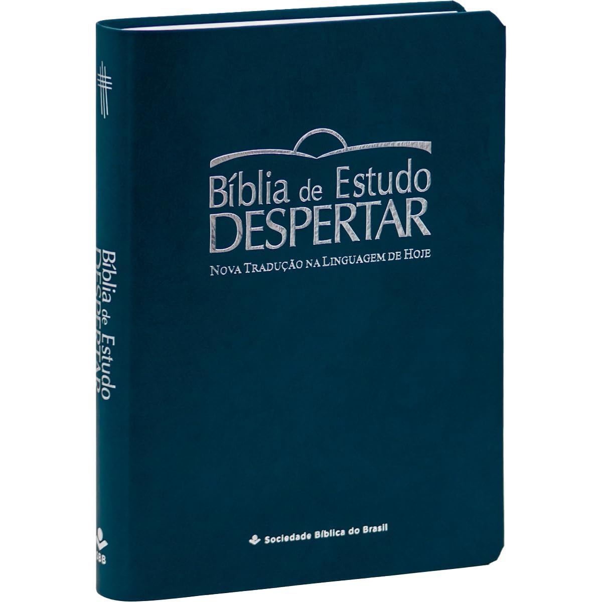 Bíblia de Estudo Despertar NTLH, Letra Grande, com mapa, Capa Couro Sintético Azul: Nova Tradução na Linguagem de Hoje (NTLH) baixar o livro de graça