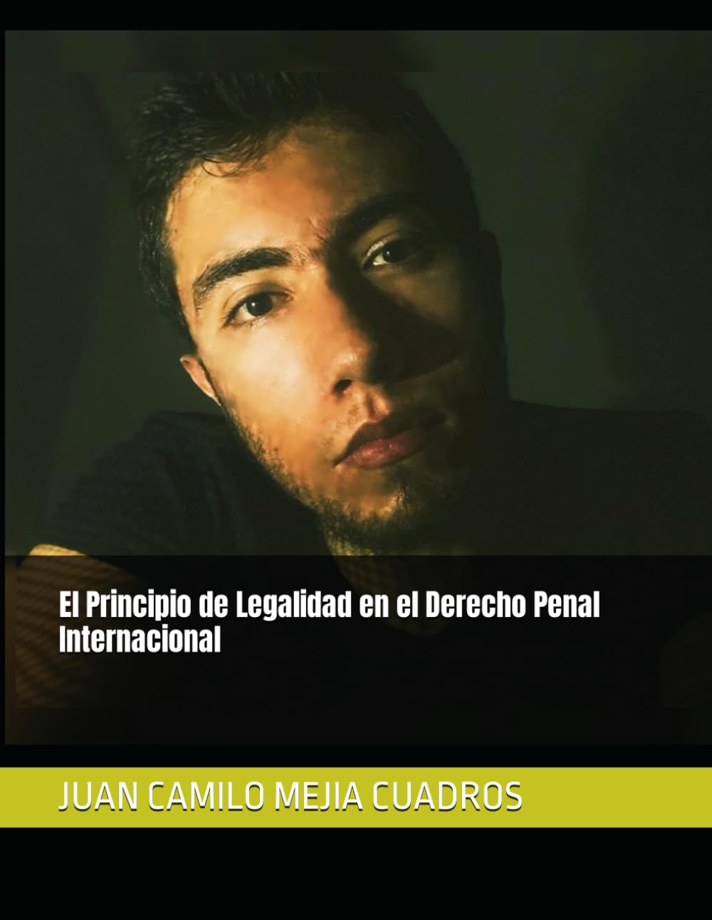 El Principio de Legalidad en el Derecho Penal Internacional: Aplicacion del Principio de Legalidad (Spanish Edition) baixar o livro de graça