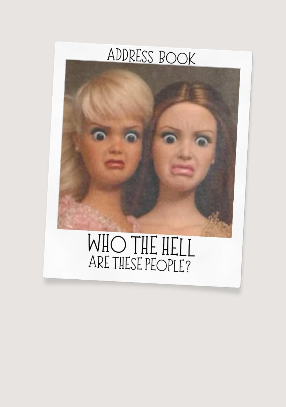 Address Book with Alphabetical Tabs: Who the Hell are these People? (Large Print) baixar o livro de graça