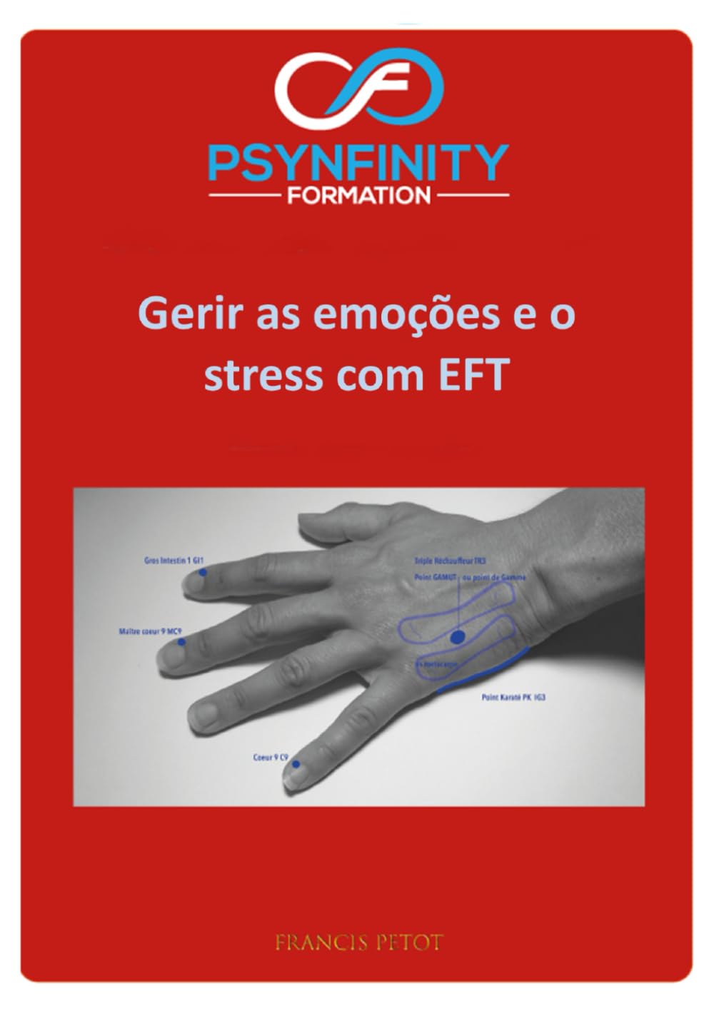 ler totalmente Gerir as suas emoções e o seu stress: Com a EFT (Psynfinity Formation) (Portuguese Edition)