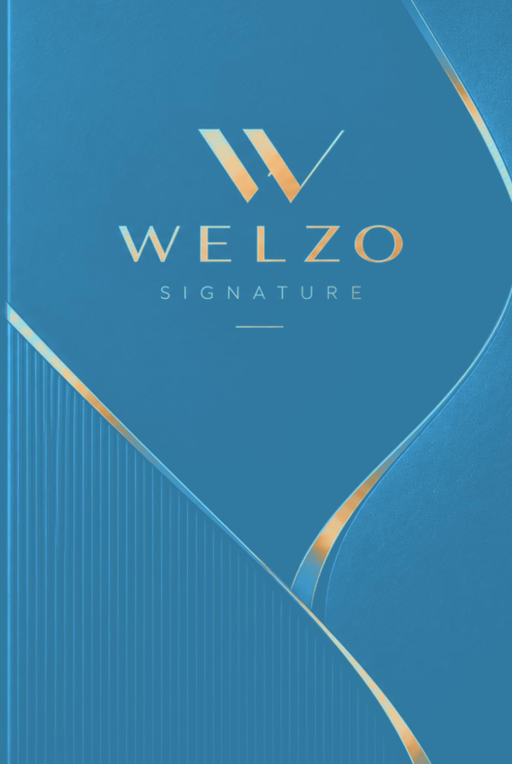 WELZO SIGNATURE: A Premium Hardcover Notebook-SkyBlue&Gold baixar livro de graça
