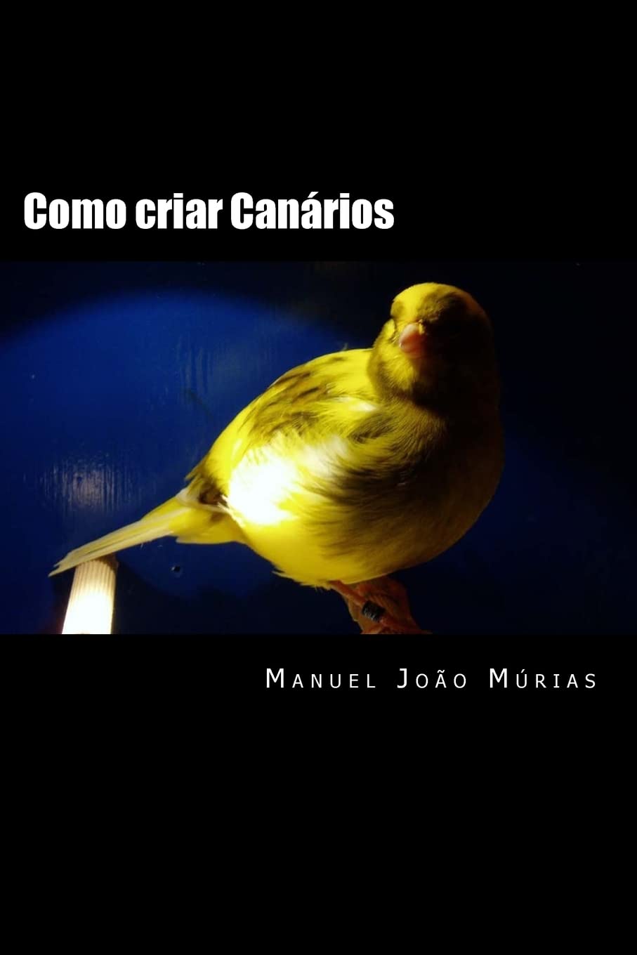 ler totalmente Como criar Canários