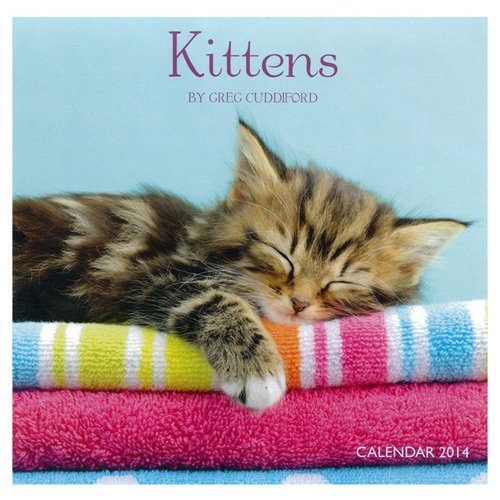 capítulo por capítulo baixar Kittens By Greg Cuddiford Square Wall Ca