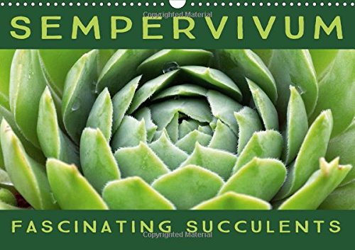 capítulo por capítulo baixar Sempervivum Fascinating Succulents 2016: Sempervivum, 12 wonderful portraits of the fascinating succulents