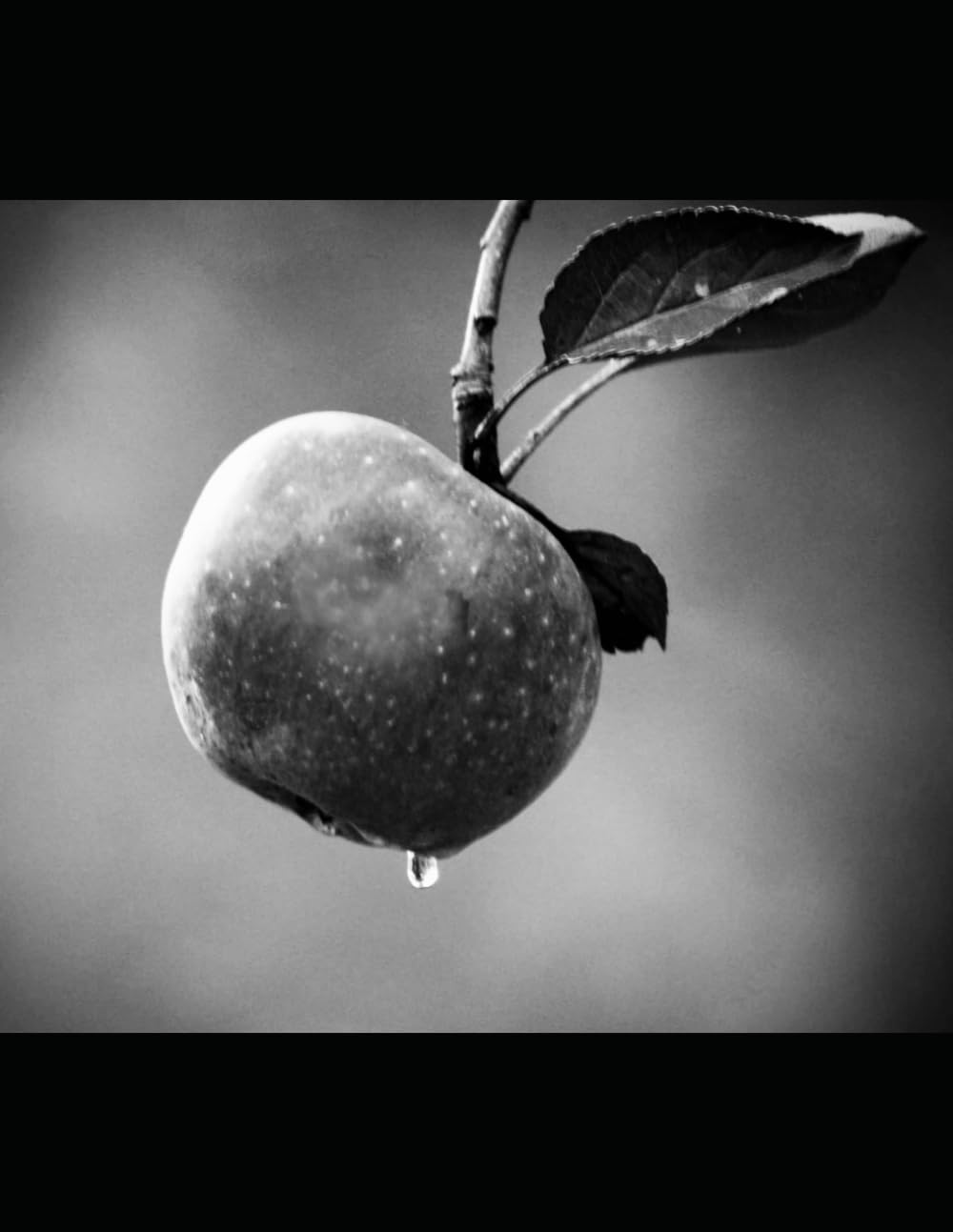 São Miguel Gênesis (Portuguese Edition) baixar livro de graça