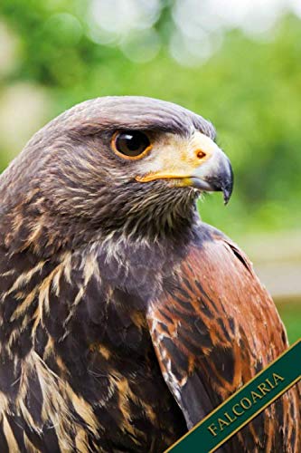 capítulo por capítulo baixar Falcoaria: Abutre de deserto, Harris Hawk. Formato A5, 120 páginas, cinza discreto alinhado. Entradas diárias, notas e diário, caderno e recolha de... da natureza e aves. (Portuguese Edition)