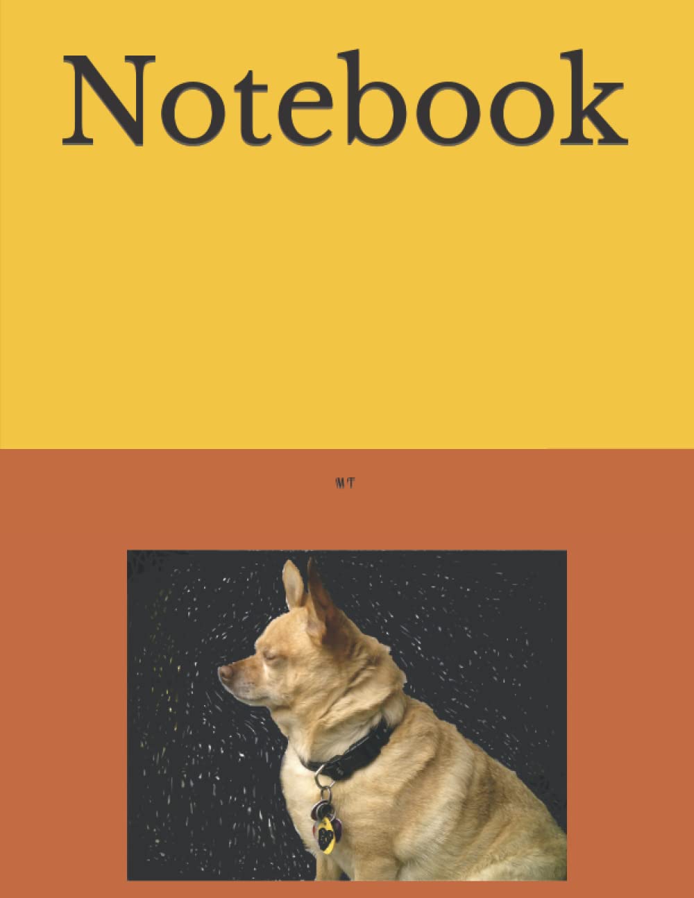 Notebook baixar o livro de graça