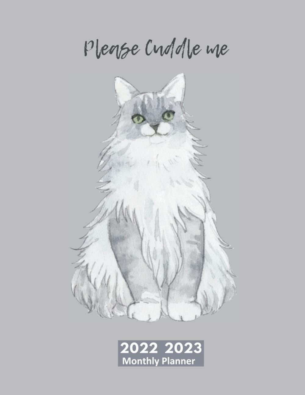 capítulo por capítulo baixar 2022 2023 Monthly Planner: 2 Year Monthly Planner, January 2022 to December 2023 (24 Months), Calendar Scheduler Organizer, Federal Holidays, Inspirational Quotes, 8.5 x 11 in, Watercolor, Cute Cat