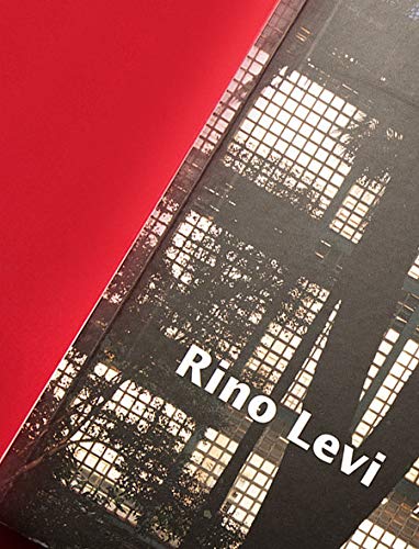 Rino Levi: Arquitetura e cidade baixar livro de graça