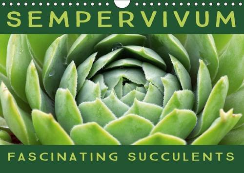 Sempervivum Fascinating Succulents 2017: Sempervivum, 12 Wonderful Portraits of the Fascinating Succulents baixar livro de graça