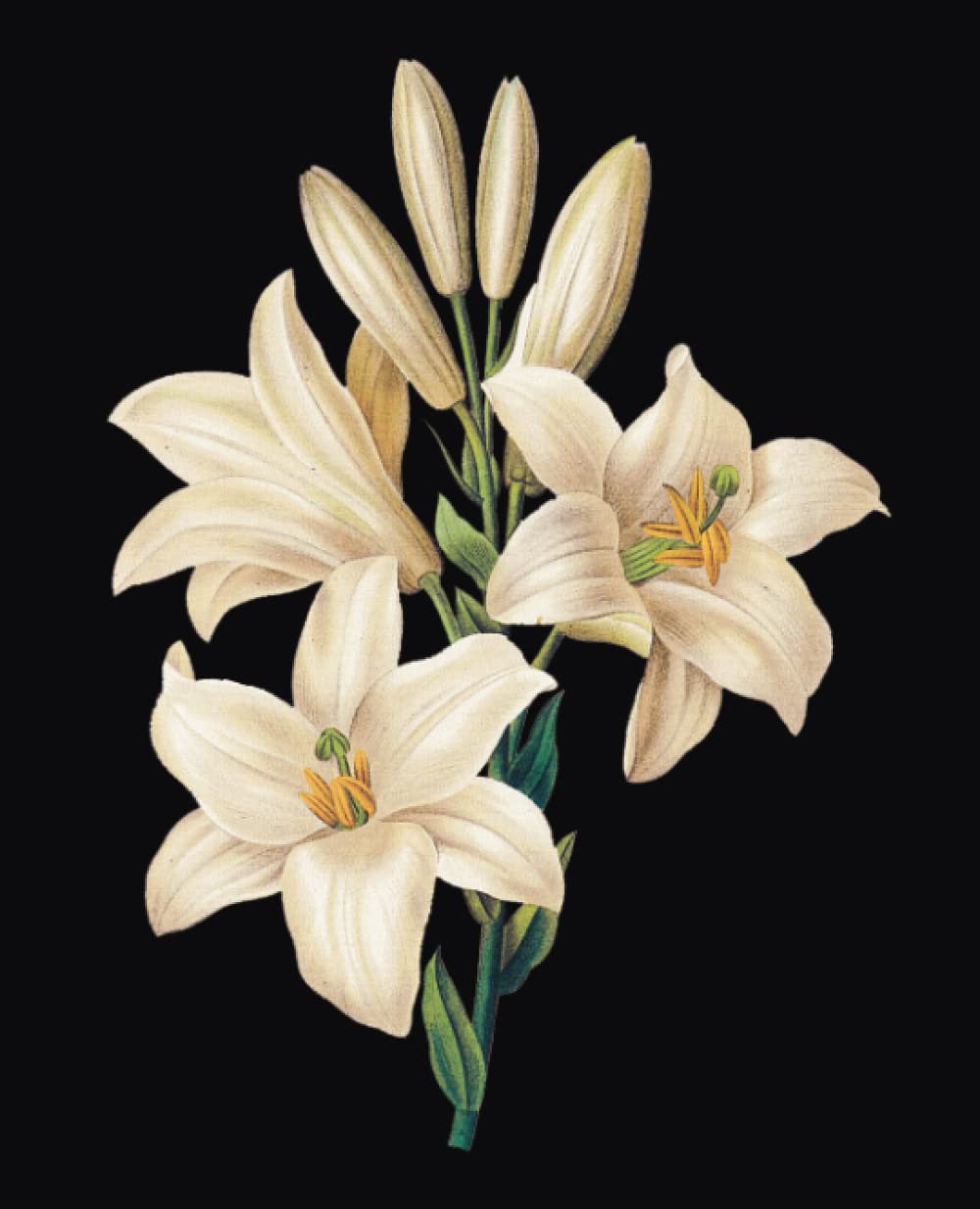 ler totalmente Composition Notebook: Vintage White Lily Aesthetic Journal for Girls, Teens, Women, Students/College Ruled 7.5x9.25 inch