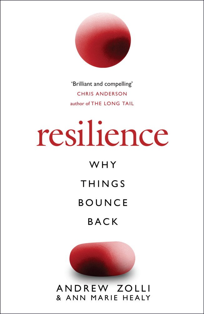 Resilience: Why Things Bounce Back (English Edition) baixar livro de graça