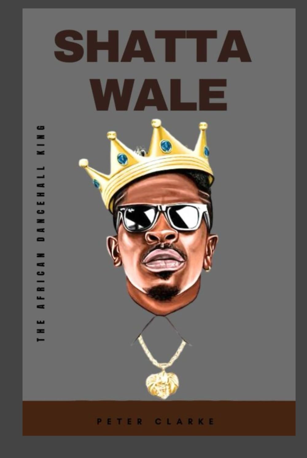 capítulo por capítulo baixar SHATTA WALE: THE AFRICAN DANCEHALL KING (Biographies)