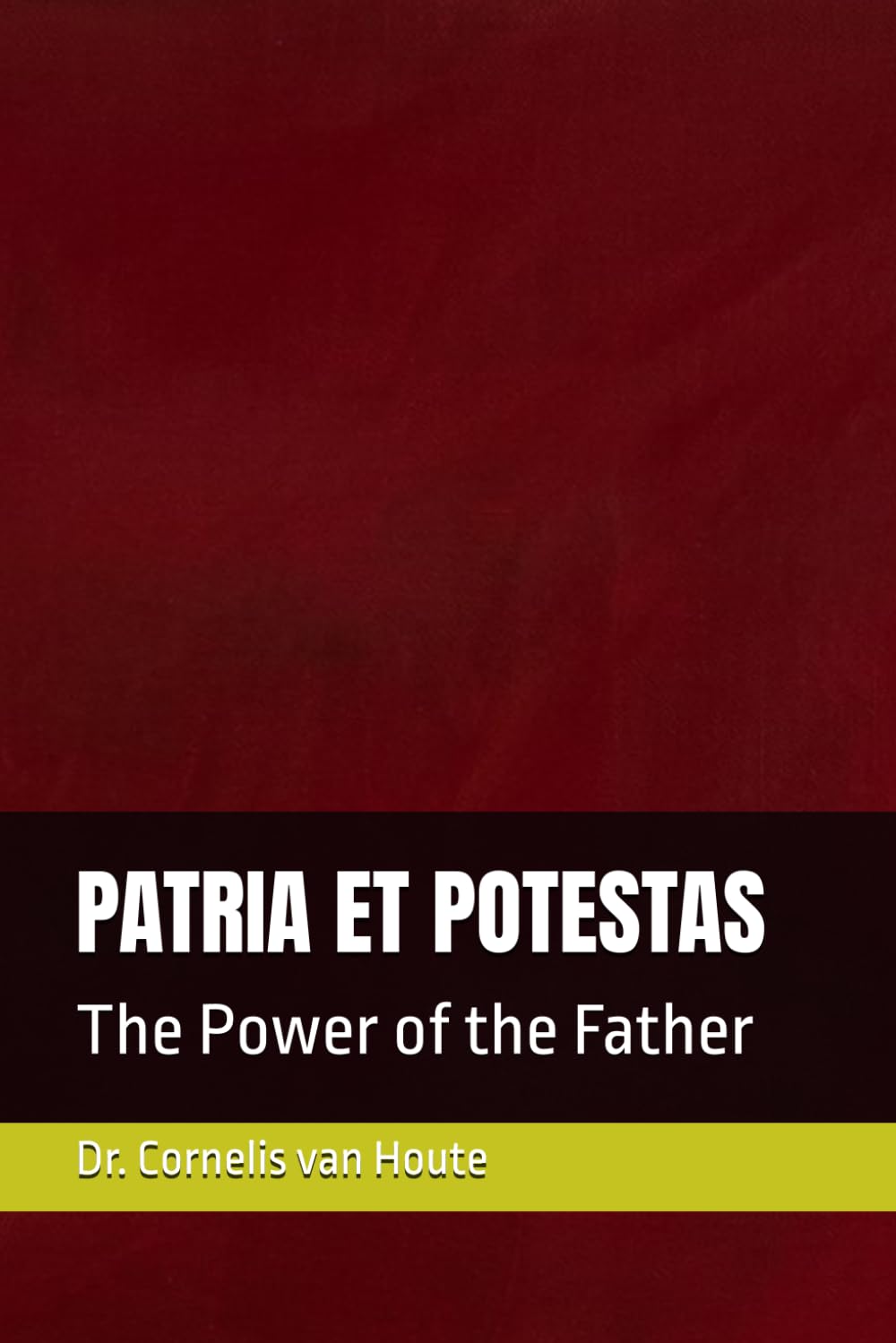 ler totalmente PATRIA ET POTESTAS: The Power of the Father (Roman Law Series)
