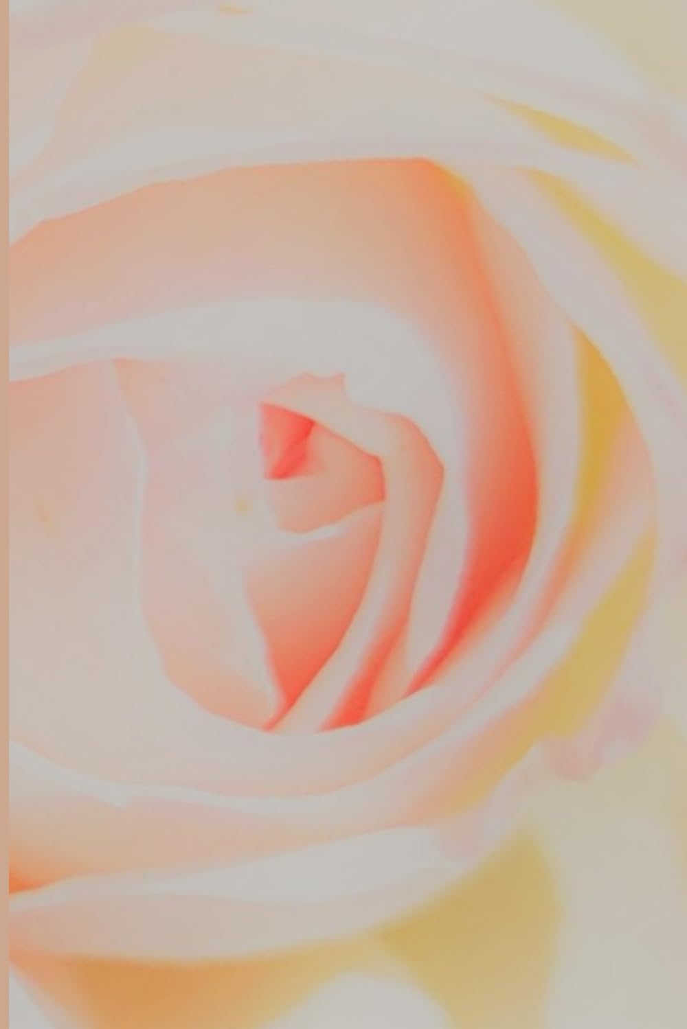 ROSE&PAPER Fine Writing Journal, 2025 Collection, Rose No. 9: College-Ruled, 6x9 in (15.24 x 22.86 cm) Grey-Blue Horizontals, Hot-Pink Margins, Crisp White Paper baixar livro de graça