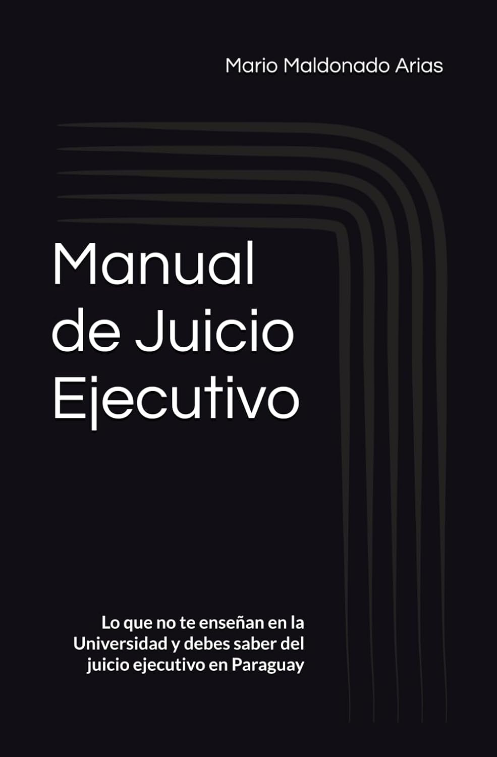 Manual de Juicio Ejecutivo: Lo que no te enseñan en la Universidad y debes saber del juicio ejecutivo en Paraguay baixar livro de graça