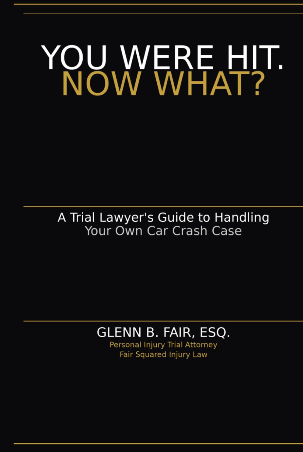 You Were Hit. Now What?: A Trial Lawyer's Guide to Handling Your Own Car Crash Case baixar o livro de graça