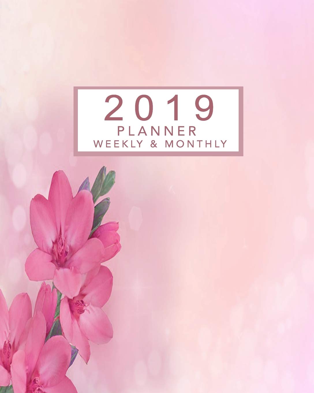 2019 Planner Weekly and Monthly: 2019 Calendar Planner and Monthly Schedule Organizer, Appointment Book and Daily Planner for January 2019 Through December 2019 baixar o livro de graça