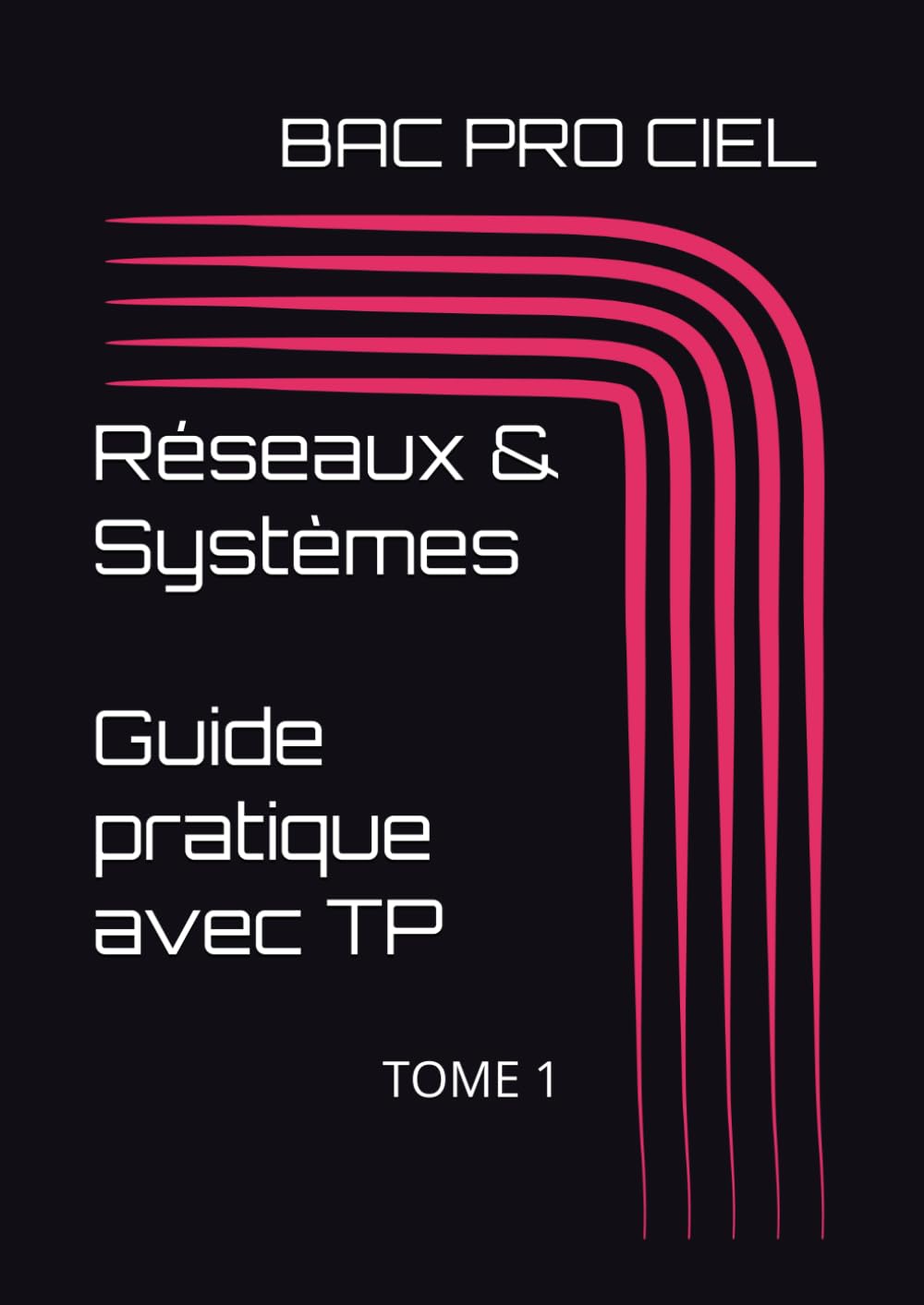 RESEAUX & SYSTEMES: Guide pratique avec TP baixar o livro de graça