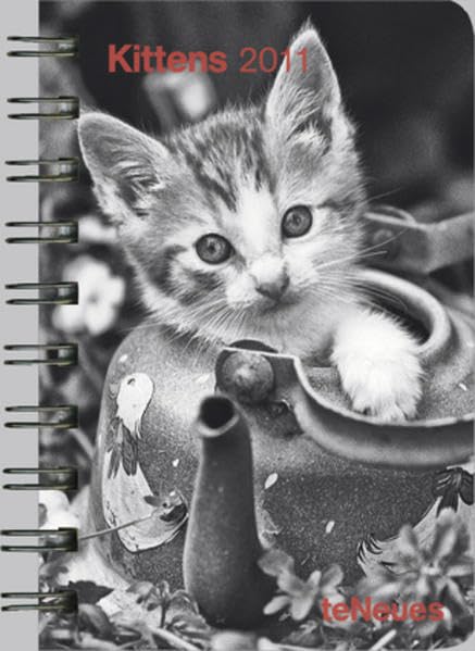 capítulo por capítulo baixar Kittens