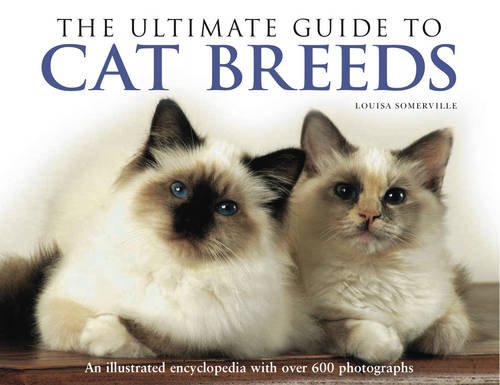 ler totalmente Ultimate Guide to Cat Breeds