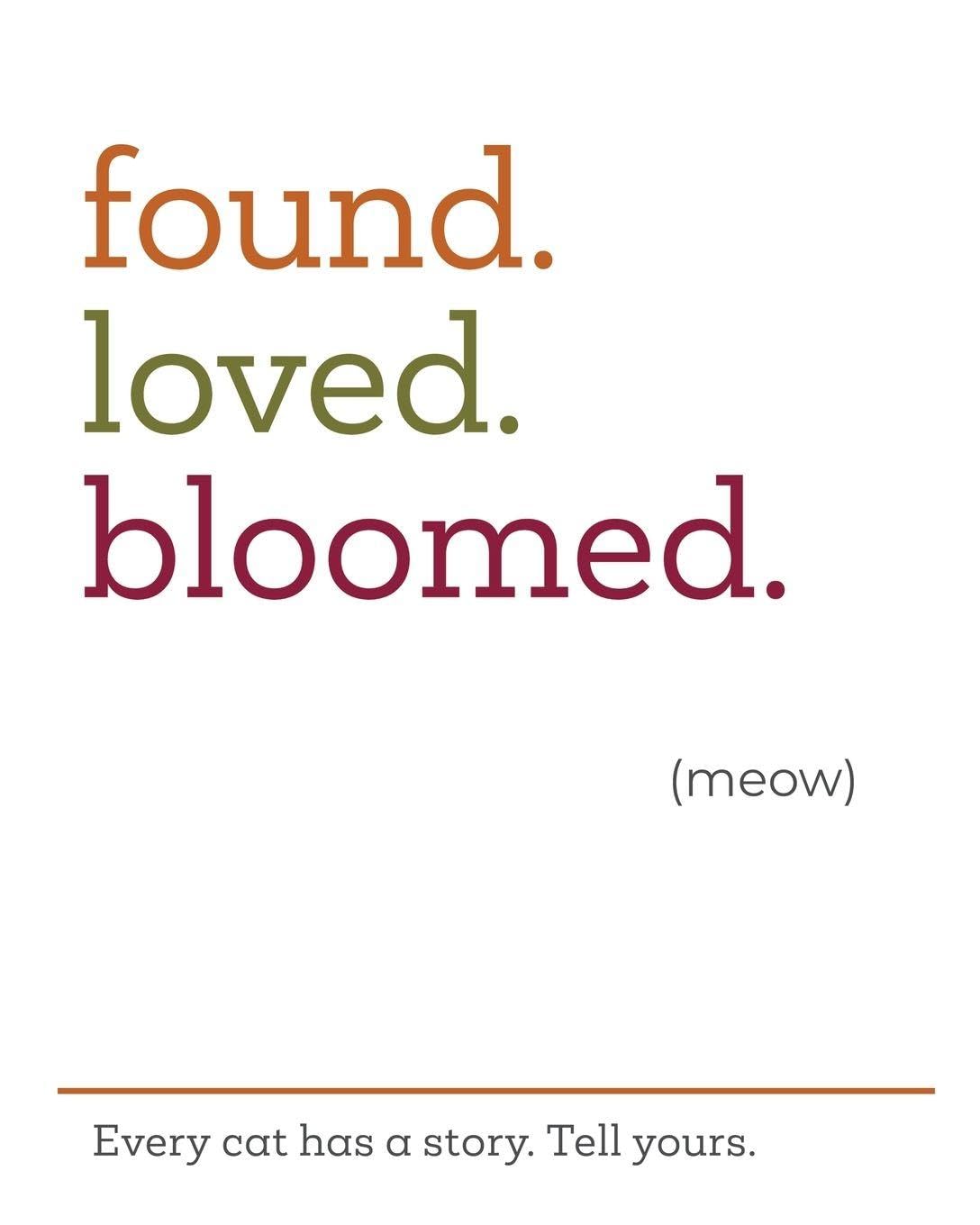 capítulo por capítulo baixar found.loved.bloomed. (meow)