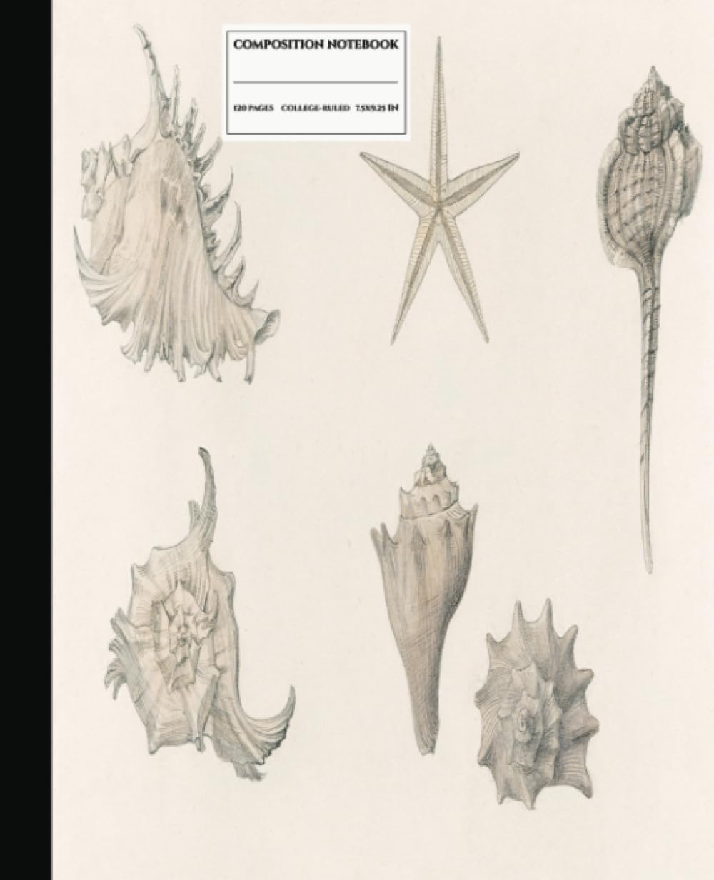 Composition Notebook College Ruled: Beautiful Shells of Art Nouveau: |A Julie De Graag Inspired Vintage Journal Ideal for Teens, Girls, Women, Men, Students, and Admirers of Marine Beauty