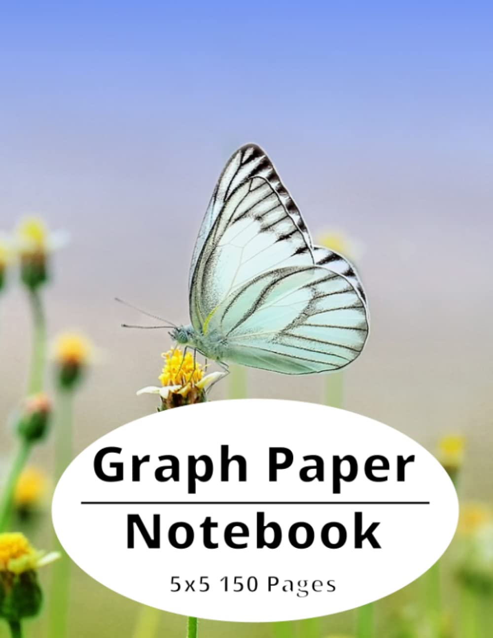 Graph Paper Notebook: Grid Paper for Students, Quad Ruled 5x5 (150 page 8.5 x11) baixar o livro de graça