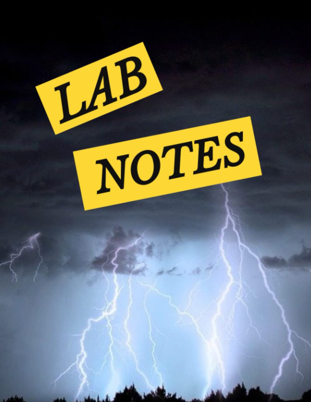 Lab Notes: Look-alike Gale Boetticher's Lab Notes Notebook from Breaking Bad | Great for students! | 8.5" x 11" baixar o livro de graça